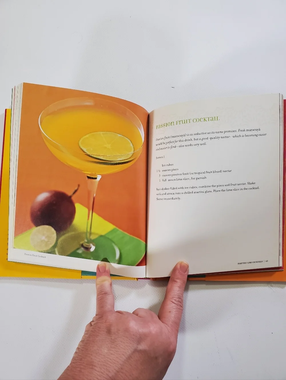 🟢 Mambo Mixers Cocktail Book by Arlen Gargagliano 50 Latin Cocktails Tapas